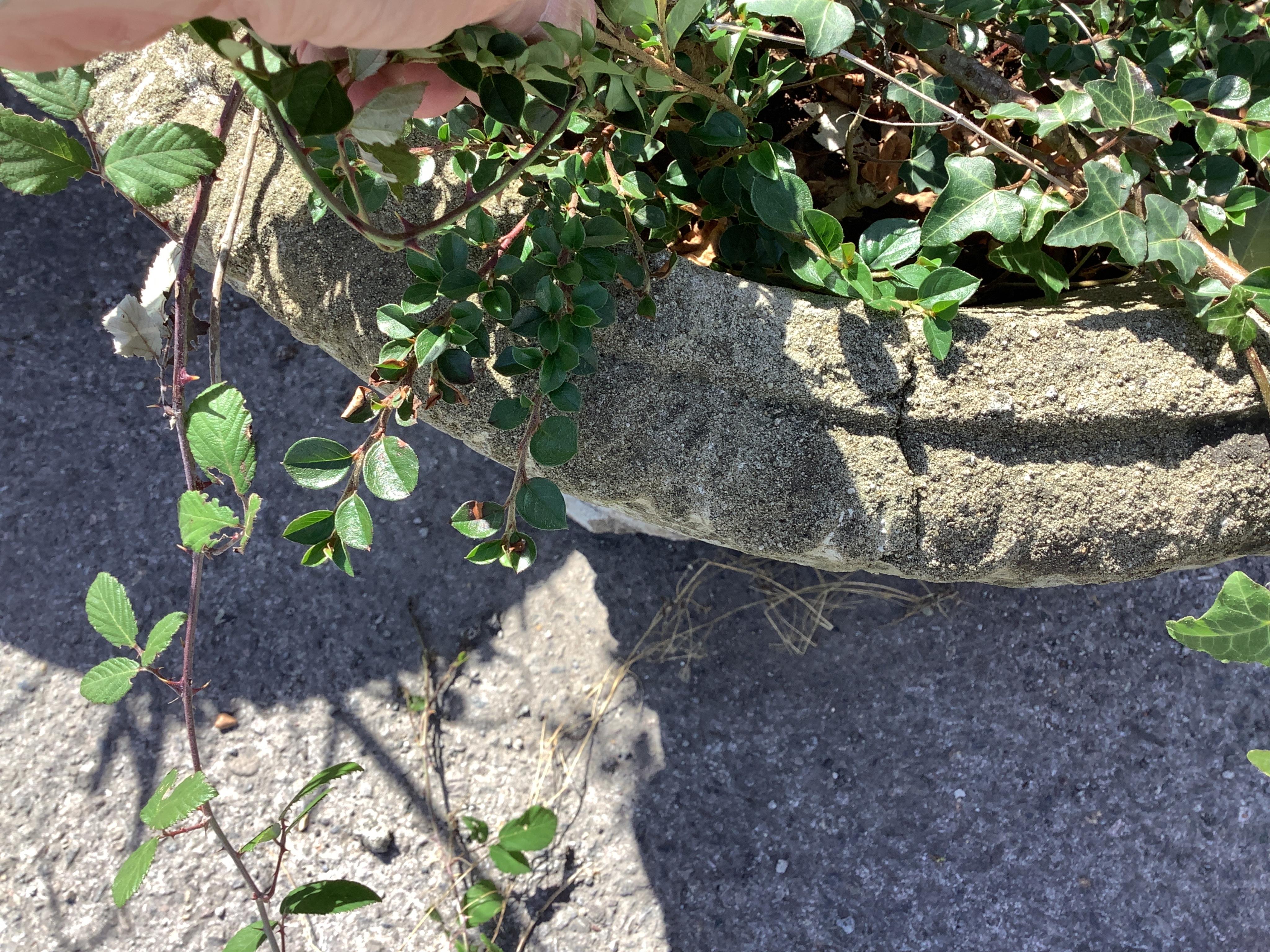 A pair of reconstituted stone garden planters, diameter 60cm, height 48cm